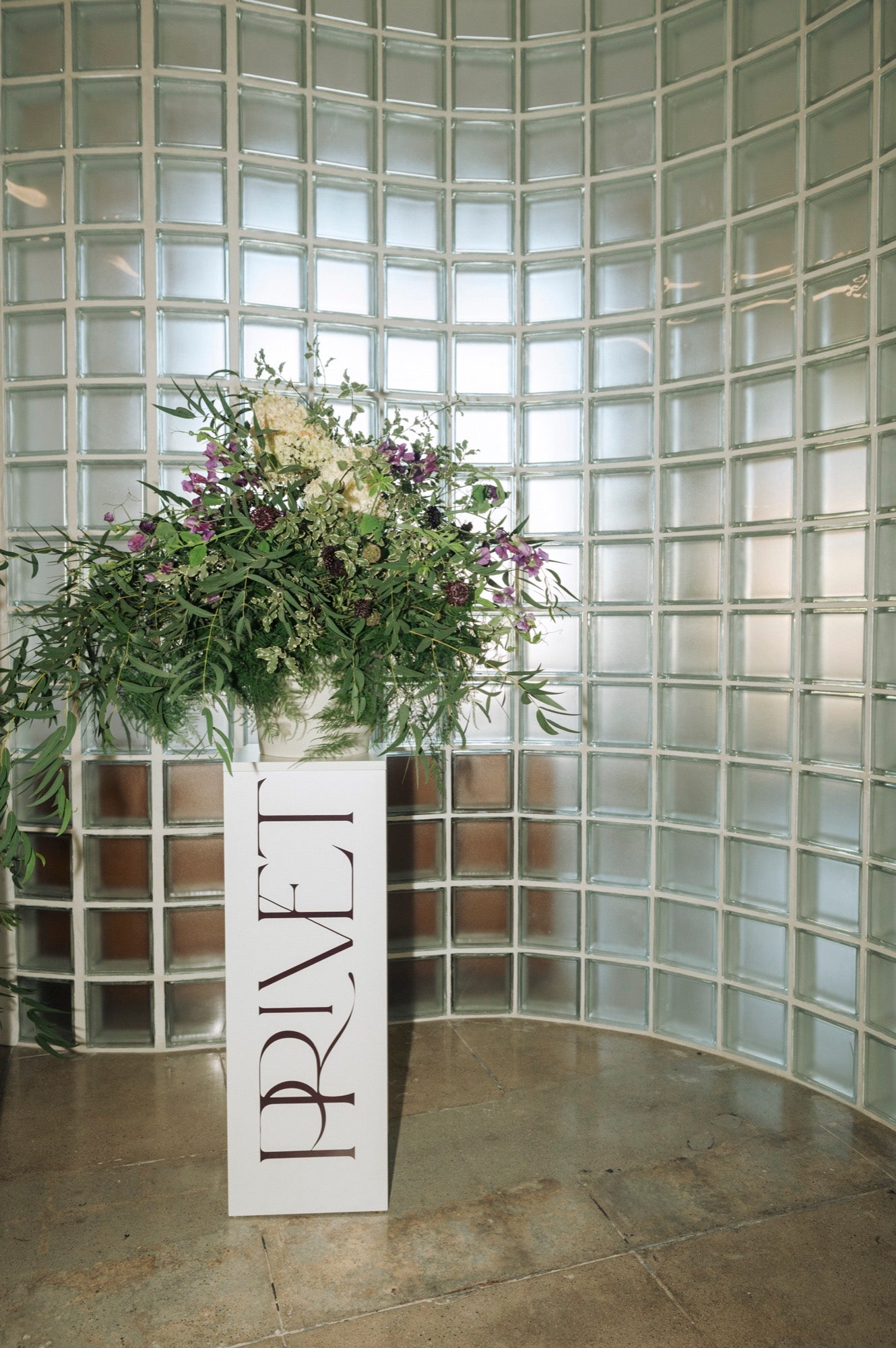 Privet Beauty
